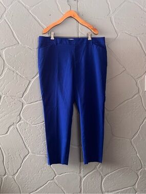 Gap Slim Cropped Pants Blue Stretch Ankle Size 12